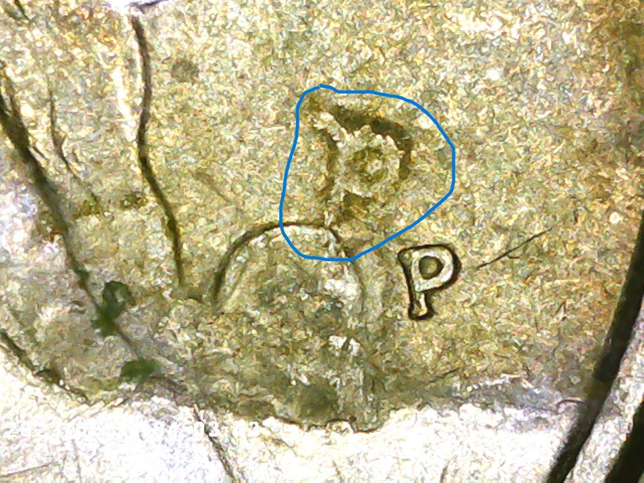 1989-P-Washington-Quarter,-Unusual-Feature